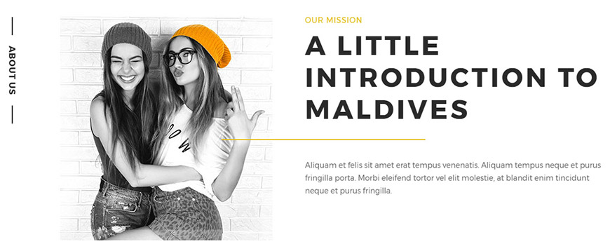 about us section in wordpress theme