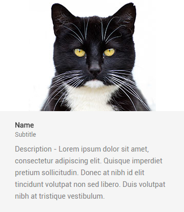 cat introduction WordPress shortcode