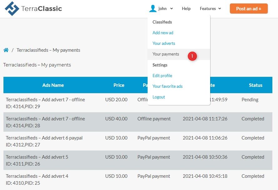 payment list user classifieds wordpress