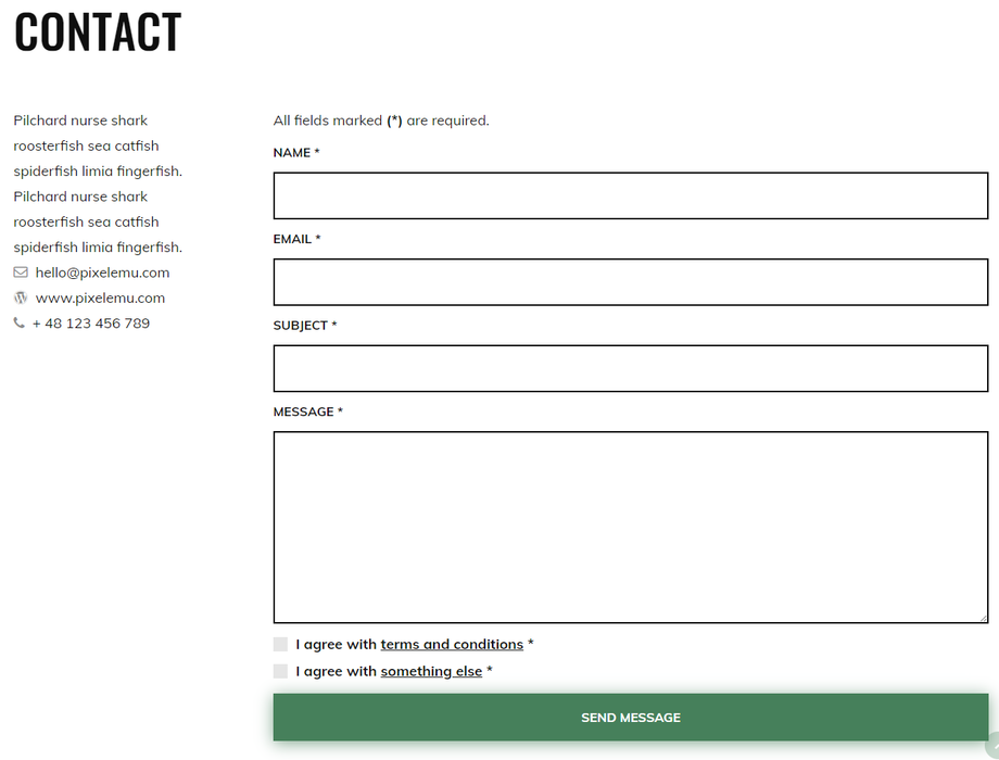 The contact form on the Eco Energy demo site looks like this: