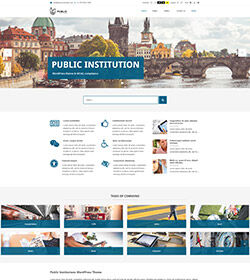 wordpress public institution theme small
