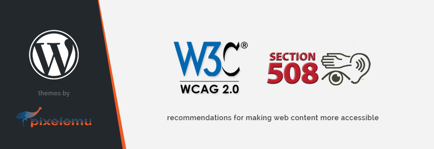 How to follow WCAG recommendations for making web content more accessible in WordPress theme.