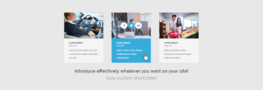 Introduce effectively whatever you want on your site! Use the custom ready made shortcode.